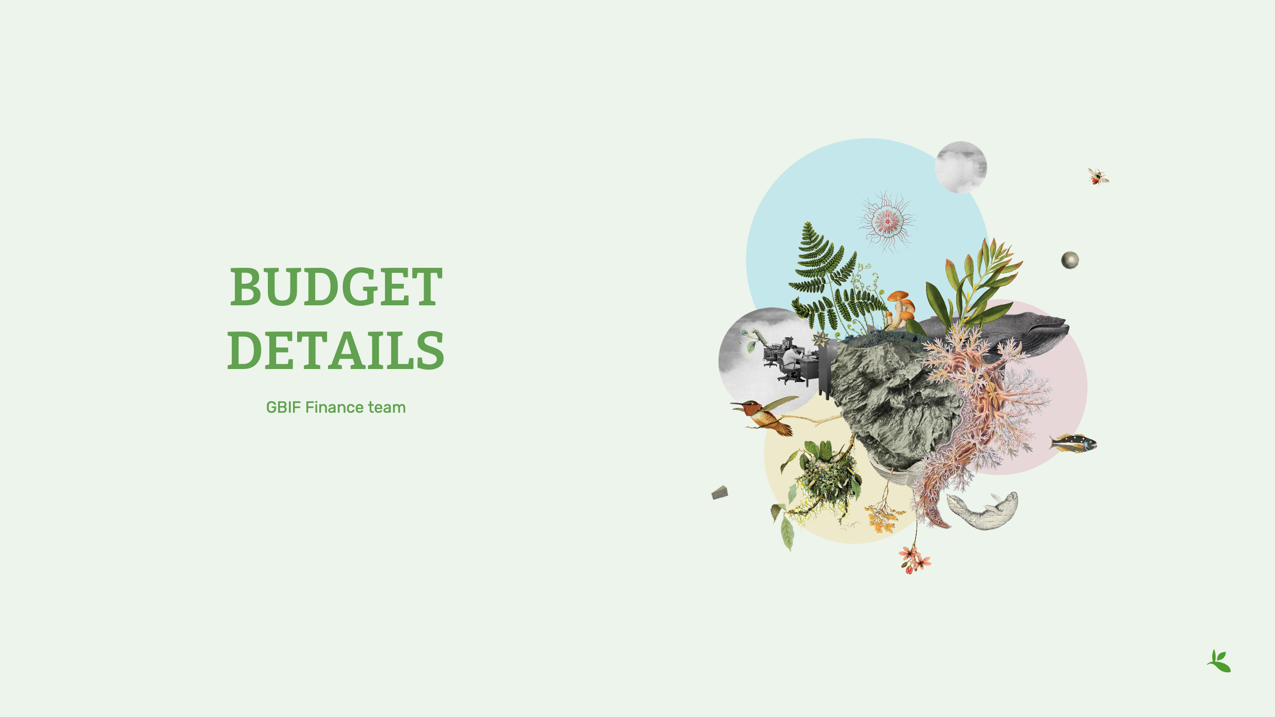 BudgetDetailsSlide1