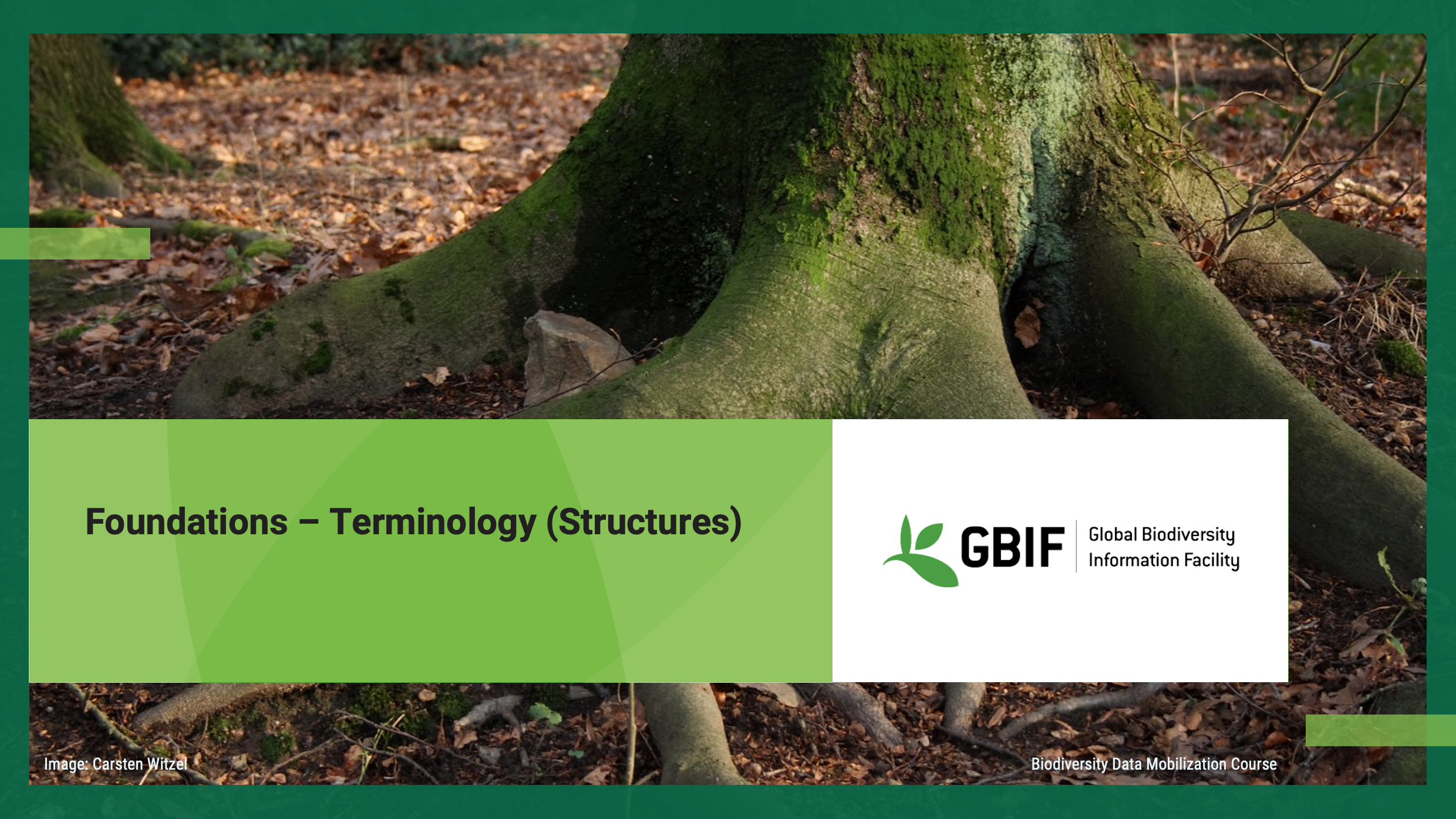 foundations structures Slide1