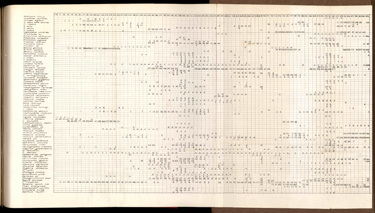 MS Figure1