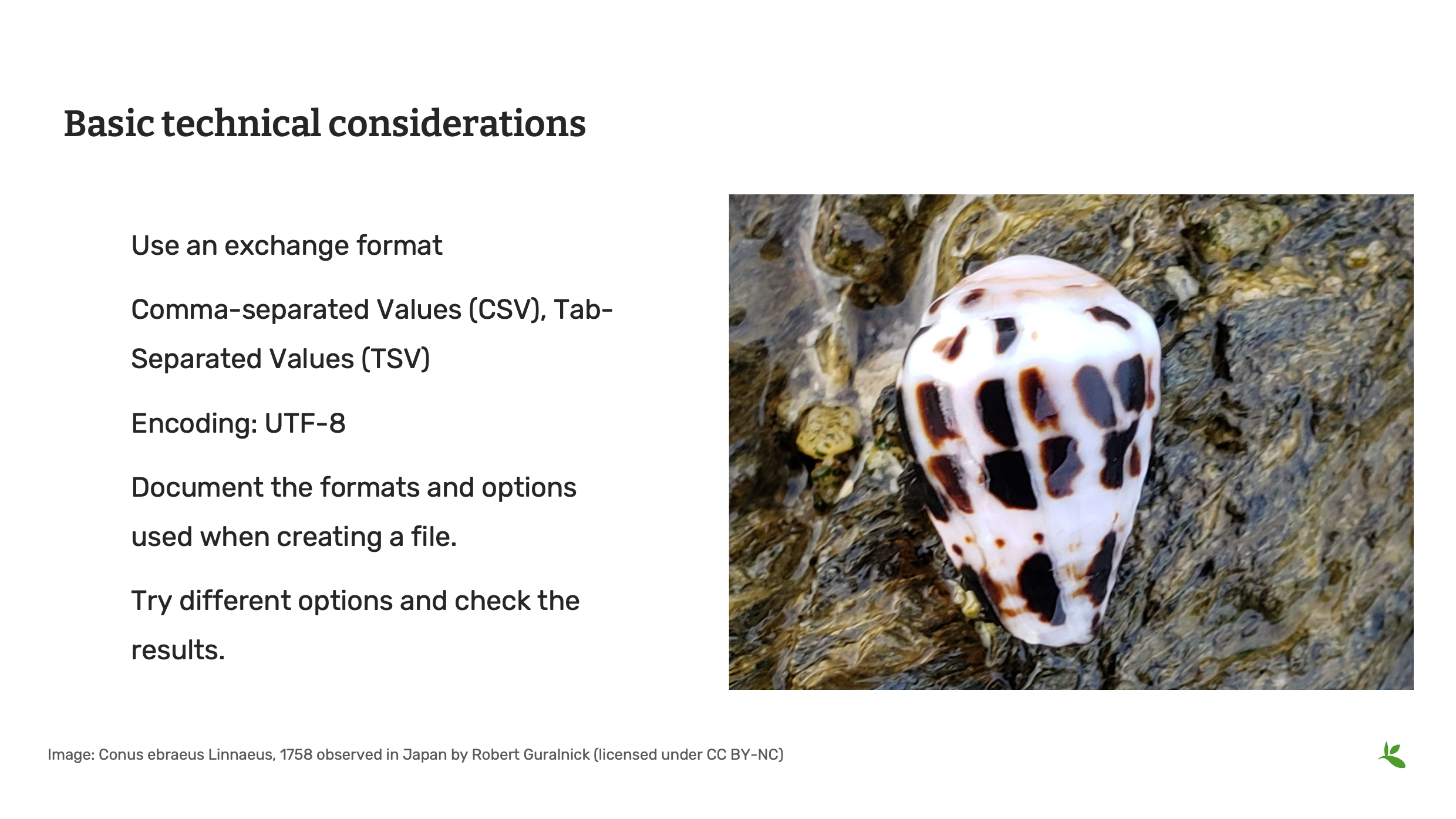 management tools Slide5