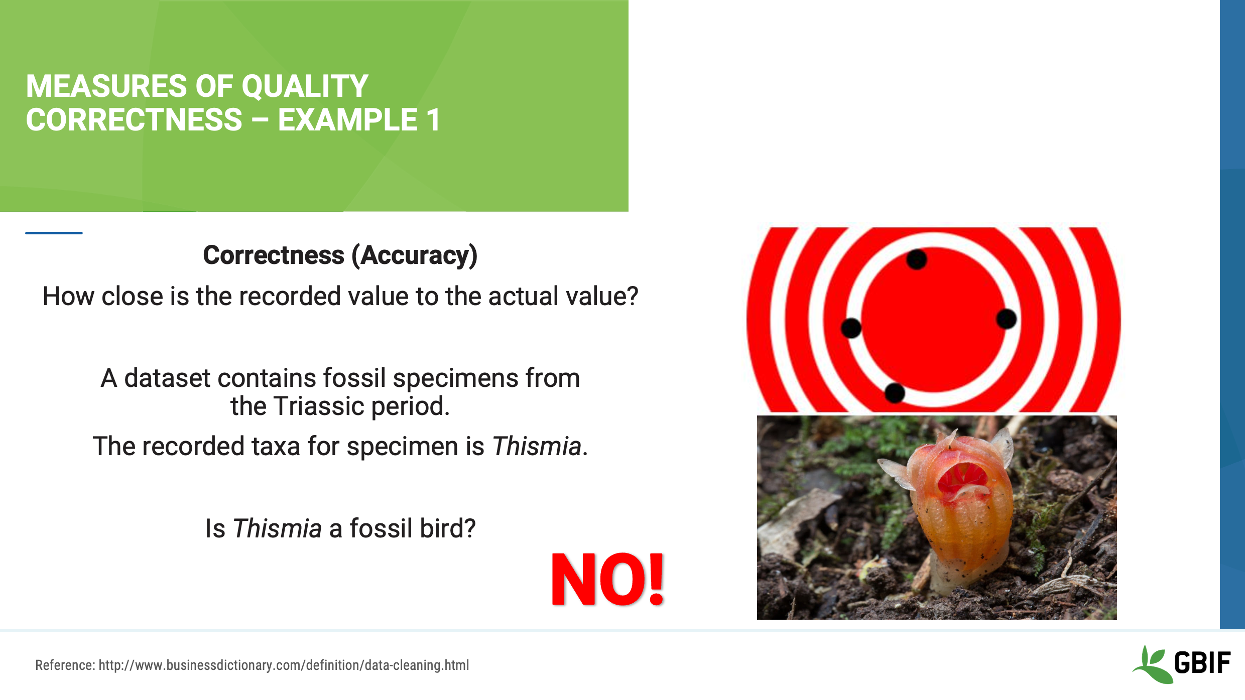 foundations data quality Slide16
