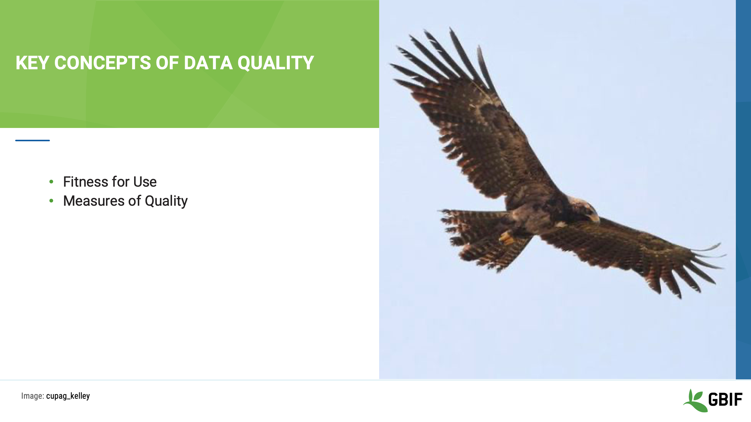 foundations data quality Slide2