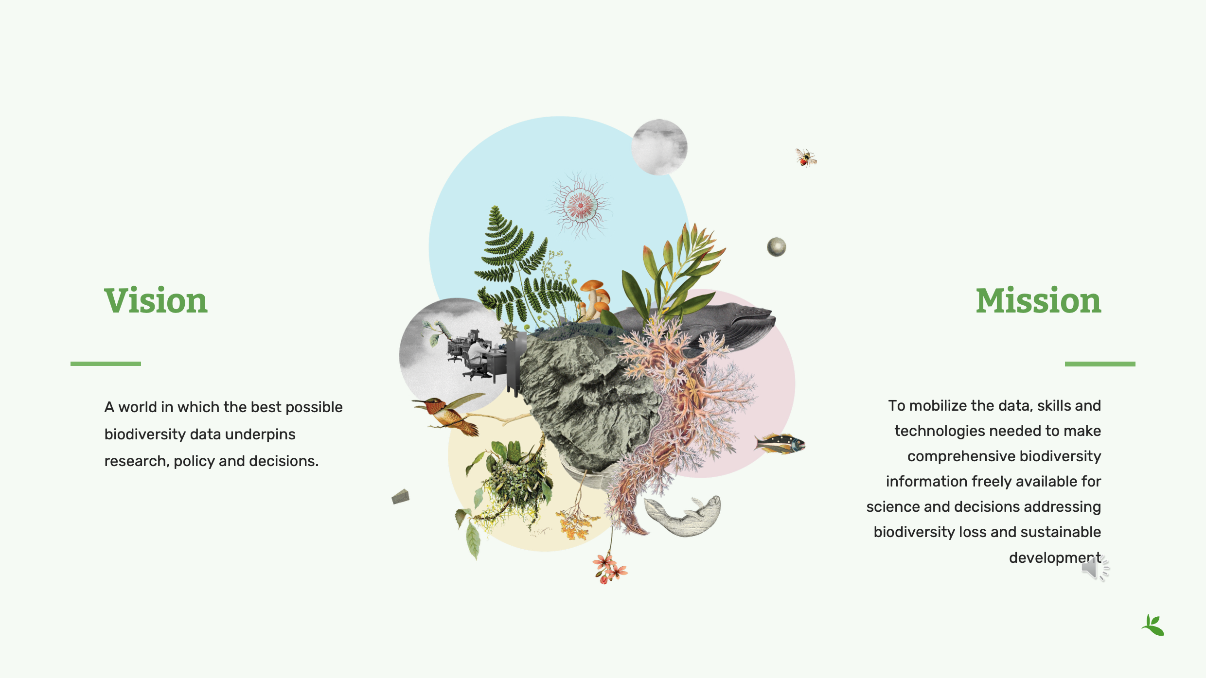 GBIF for Science Slide8
